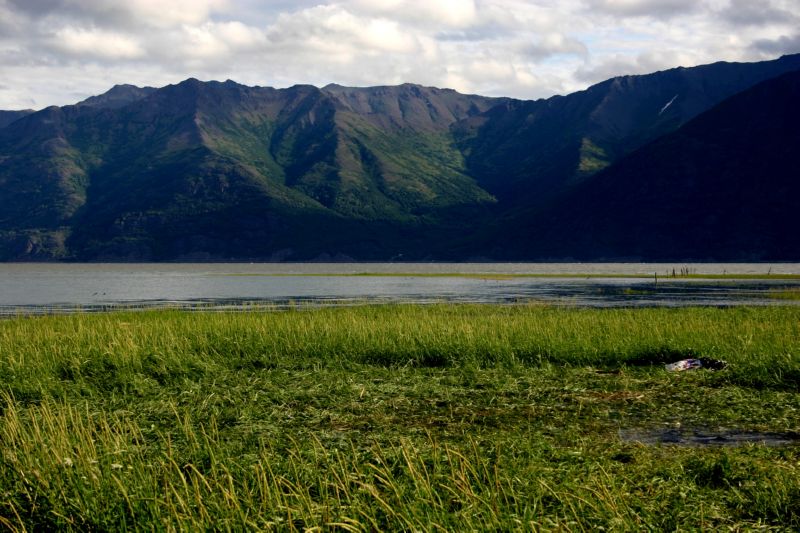 070404 Hope Hatcher Montana Creek (10020)